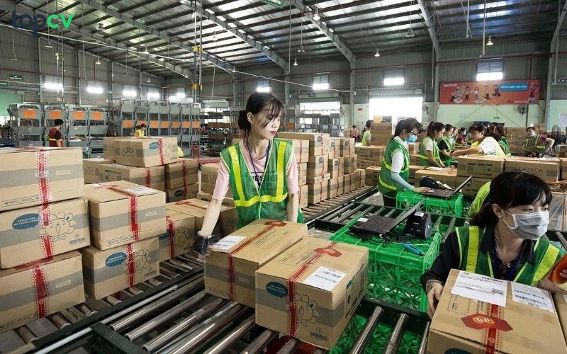 Nhân viên điều phối là gì?