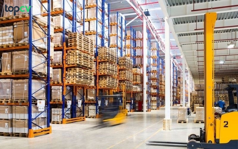 Điều phối viên cần có khả năng quan sát tốt