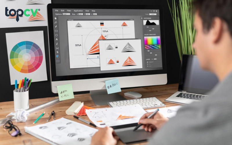 Chi tiết về Senior Graphic Designer là gì? Khác gì với Junior?