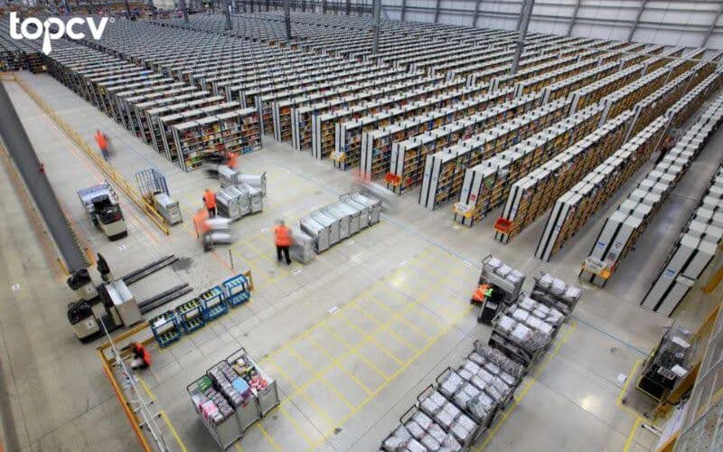 Có nhiều loại warehouse với các chức năng và đặc điểm riêng biệt