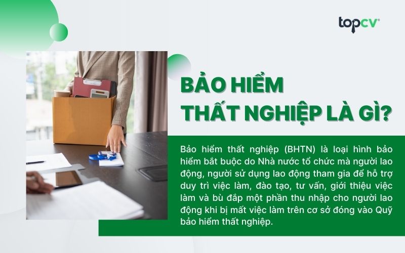 bao hiem that nghiep la gi
