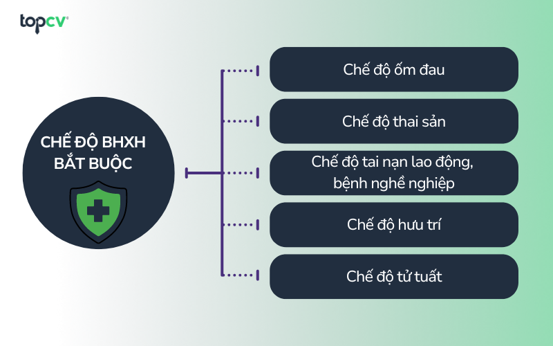 Chi tiết các chế độ của bảo hiểm xã hội bắt buộc