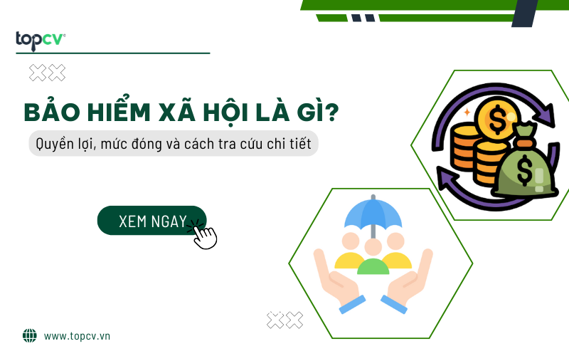 Bảo hiểm xã hội là gì? Quyền lợi, mức đóng và cách tra cứu chi tiết