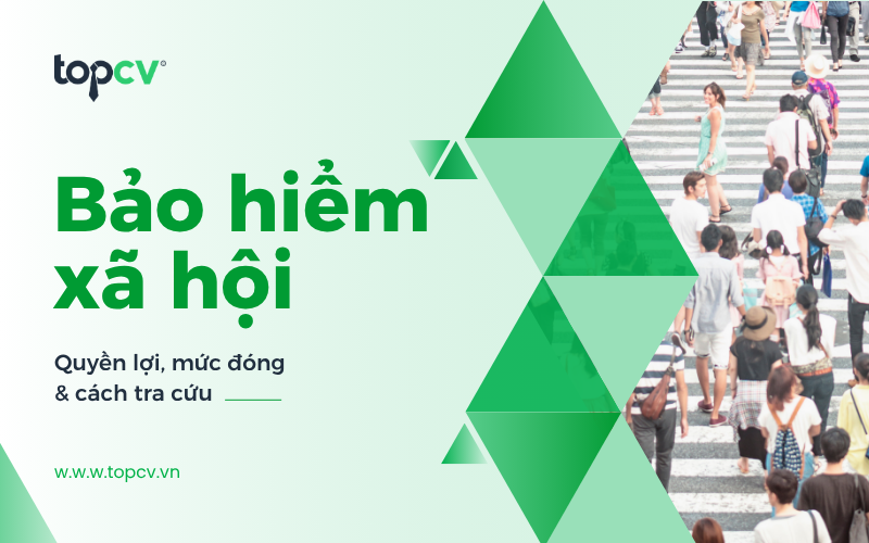 Bảo hiểm xã hội là gì? Quyền lợi, mức đóng và cách tra cứu chi tiết