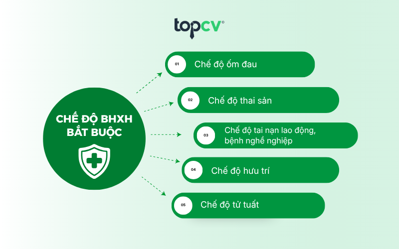 Chi tiết chế độ Bảo hiểm xã hội bắt buộc