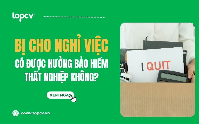 Người lao động bị đuổi việc có được hưởng bảo hiểm thất nghiệp không?