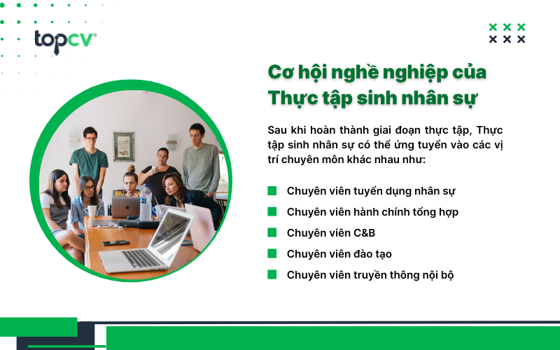 Cơ hội nghề nghiệp đối với Thực tập sinh nhân sự