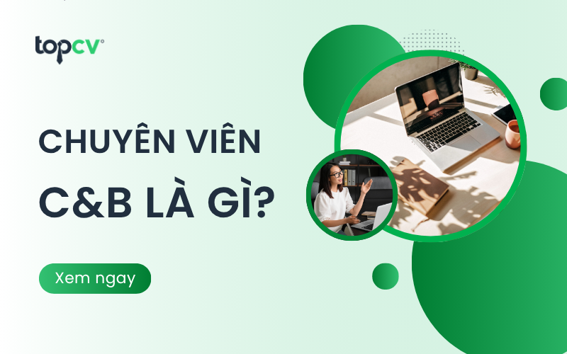 Chuyên viên C&B là gì? Công việc chính và kỹ năng mà C&B cần có