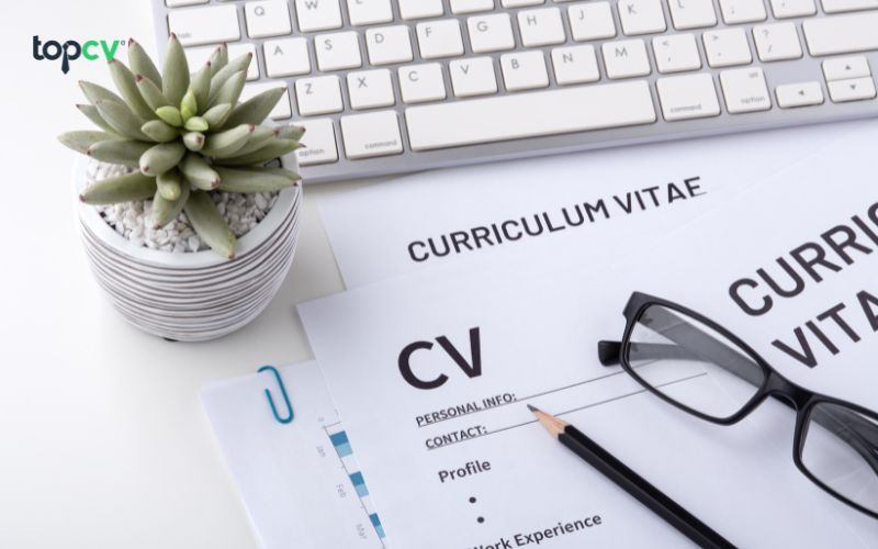 Mẫu CV đơn giản trên Word