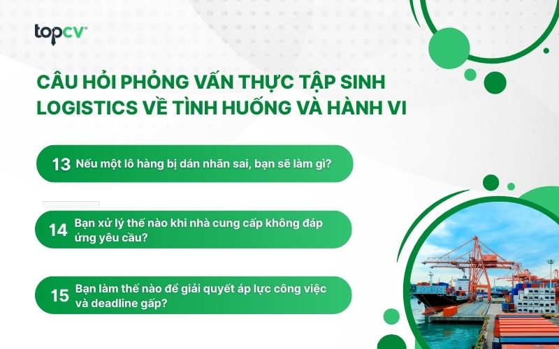 cau hoi phong van thuc tap sinh logistics