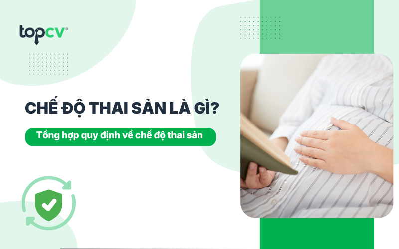 Chế độ thai sản là gì? Tổng hợp quy định về chế độ thai sản