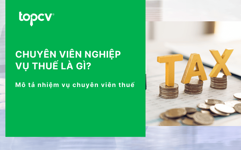 Chuyên viên nghiệp vụ thuế là gì? Mô tả nhiệm vụ chuyên viên thuế