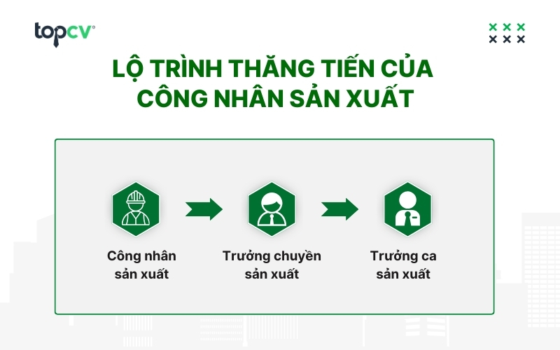 Lộ trình nghề nghiệp của Công nhân sản xuất