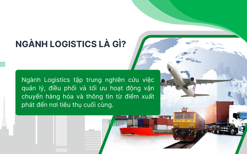 Ngành Logistics nghiên cứu việc quản lý, điều phối và tối ưu hoạt động vận chuyển hàng hóa