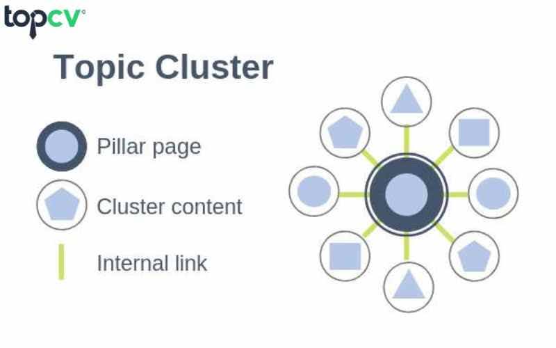 Xác định Topic Cluster và Subtopic giúp tạo một mạng lưới liên kết nội bộ trên trang web