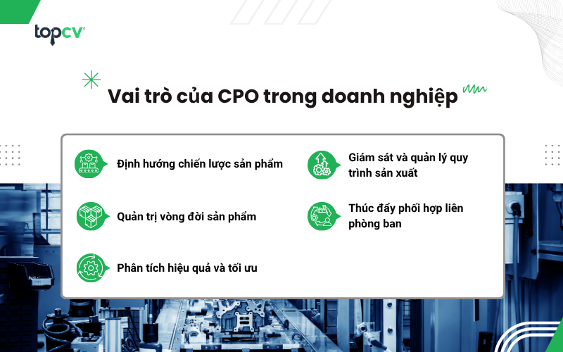 Vai trò của CPO trong doanh nghiệp