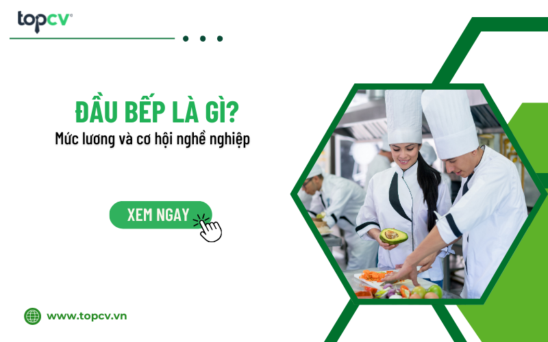 Nghề đầu bếp là gì? Mức lương và cơ hội nghề nghiệp 2025