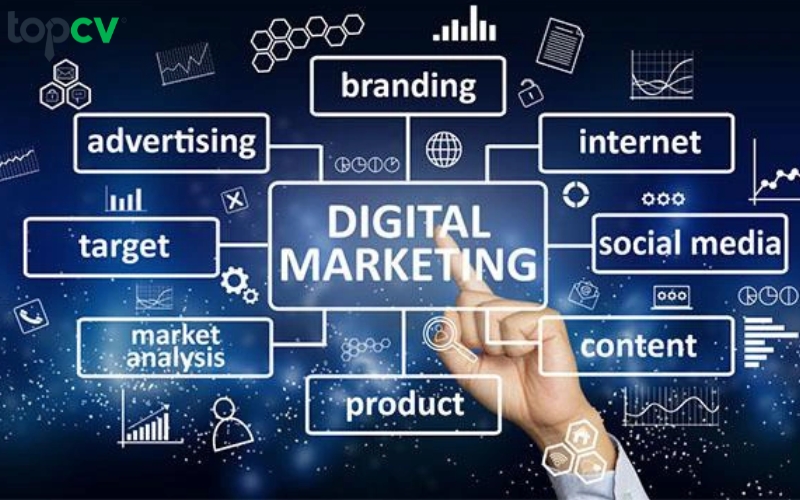 Digital Marketing Manager là mộ trong những vị trí tiềm năng trong thời đại công nghệ số như hiện nay