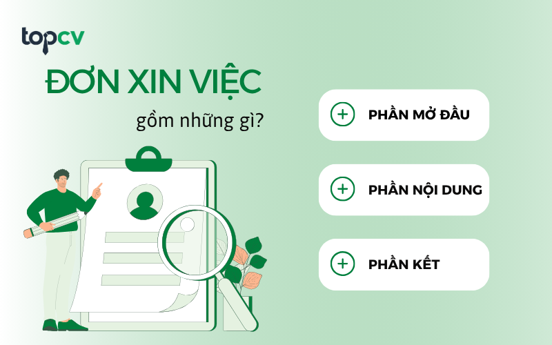 Đơn xin việc gồm những gì? Cấu trúc chuẩn của đơn xin việc