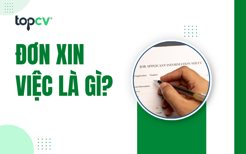 Hướng dẫn viết đơn xin việc viết tay 12 ngành nghề HOT nhất 2026