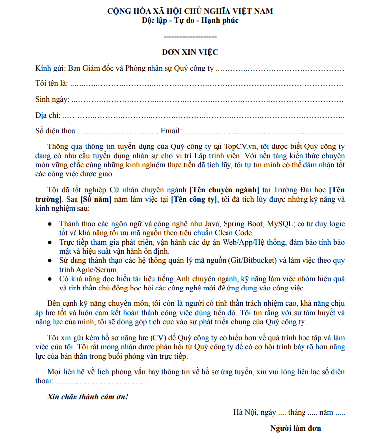 Mẫu đơn xin việc Lập trình viên