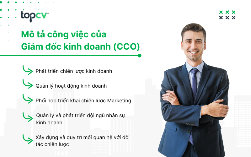 Mô tả công việc Giám đốc kinh doanh (CCO) chi tiết