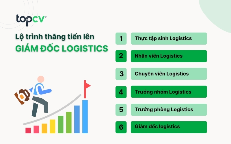 Lộ trình thăng tiến lên Giám đốc Logistics