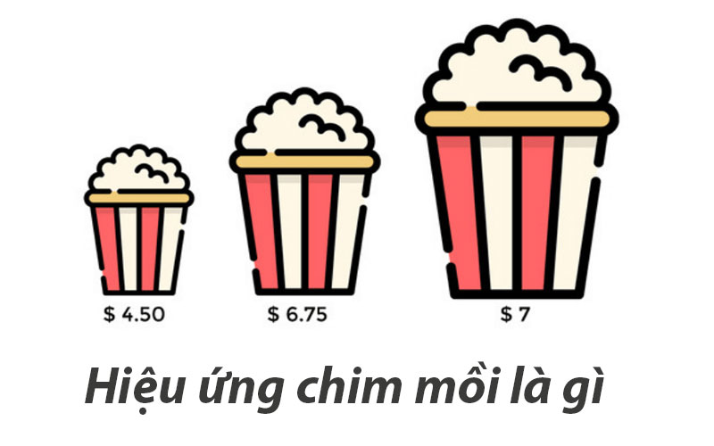 Hiệu ứng chim mồi là gì? Chiến lược hiệu quả trong kinh doanh & Marketing