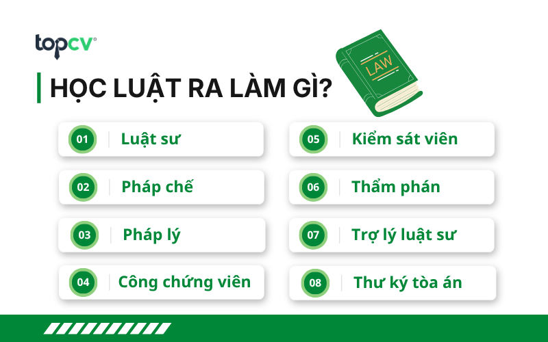 Học luật ra làm gì?