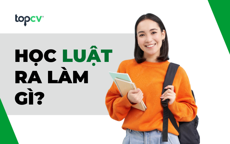 Học luật ra làm gì? Top 10 việc làm ngành luật “hái ra tiền”