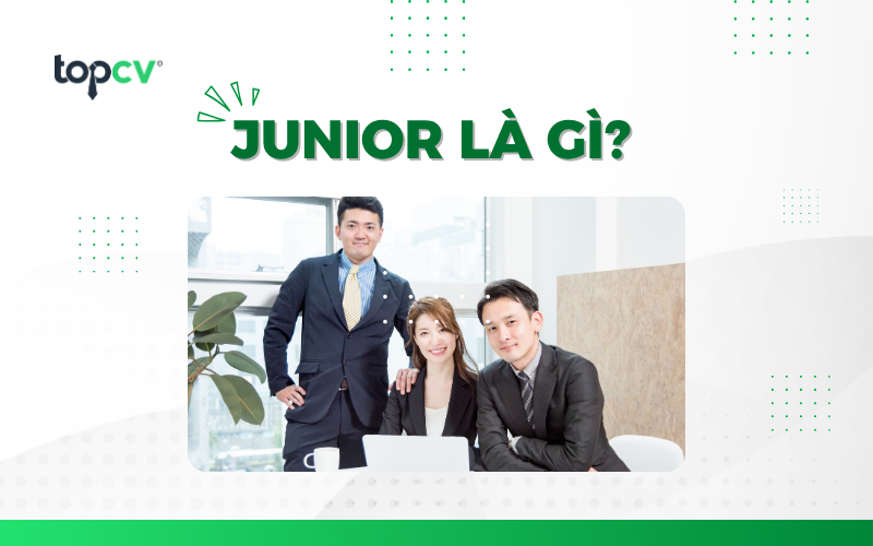 Junior trong cấp bậc công việc là gì? Mô tả công việc của Junior