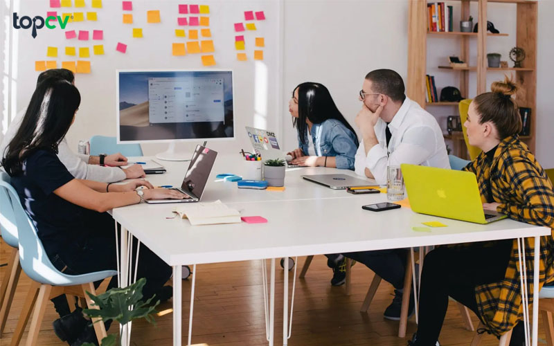 Làm việc ở các vị trí thuộc ngành Marketing để có hiểu biết sâu hơn về cách thức làm KOC