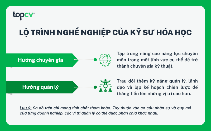 Lộ trình nghề nghiệp của Kỹ sư hóa học
