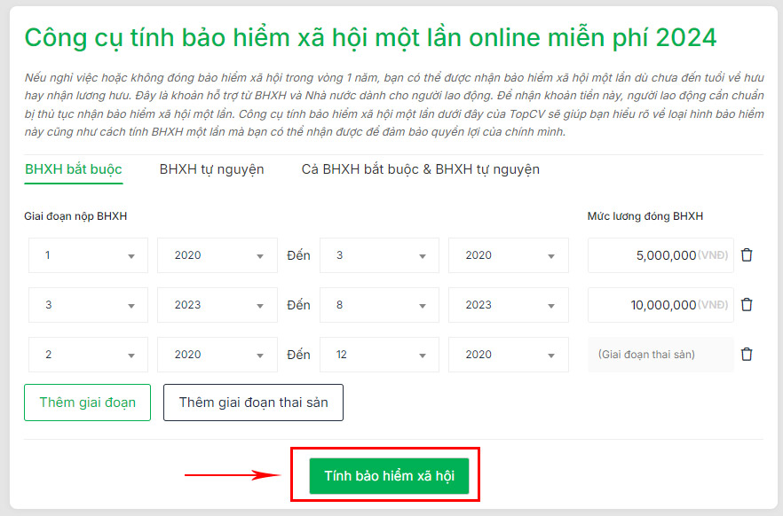 Nhập các thông tin cần thiết và chờ hệ thống trả kết quả tính BHXH