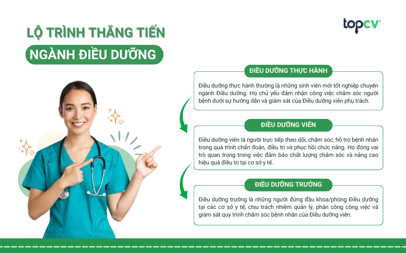 Lộ trình thăng tiến của Điều dưỡng viên