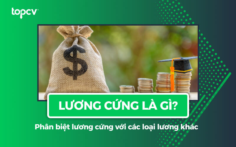 Lương cứng là gì? Phân biệt lương cứng với các loại lương khác