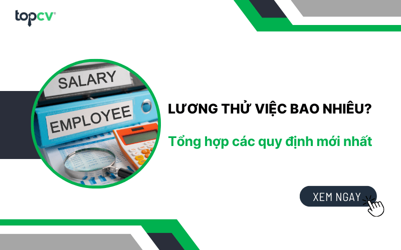 Lương thử việc bao nhiêu? Tổng hợp các quy định mới nhất