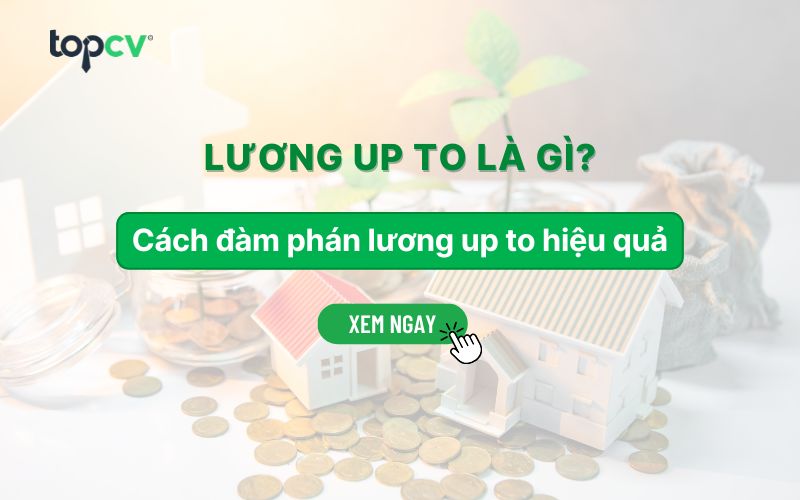 Lương up to là gì? Phân biệt với lương cứng và lương thỏa thuận khi deal lương