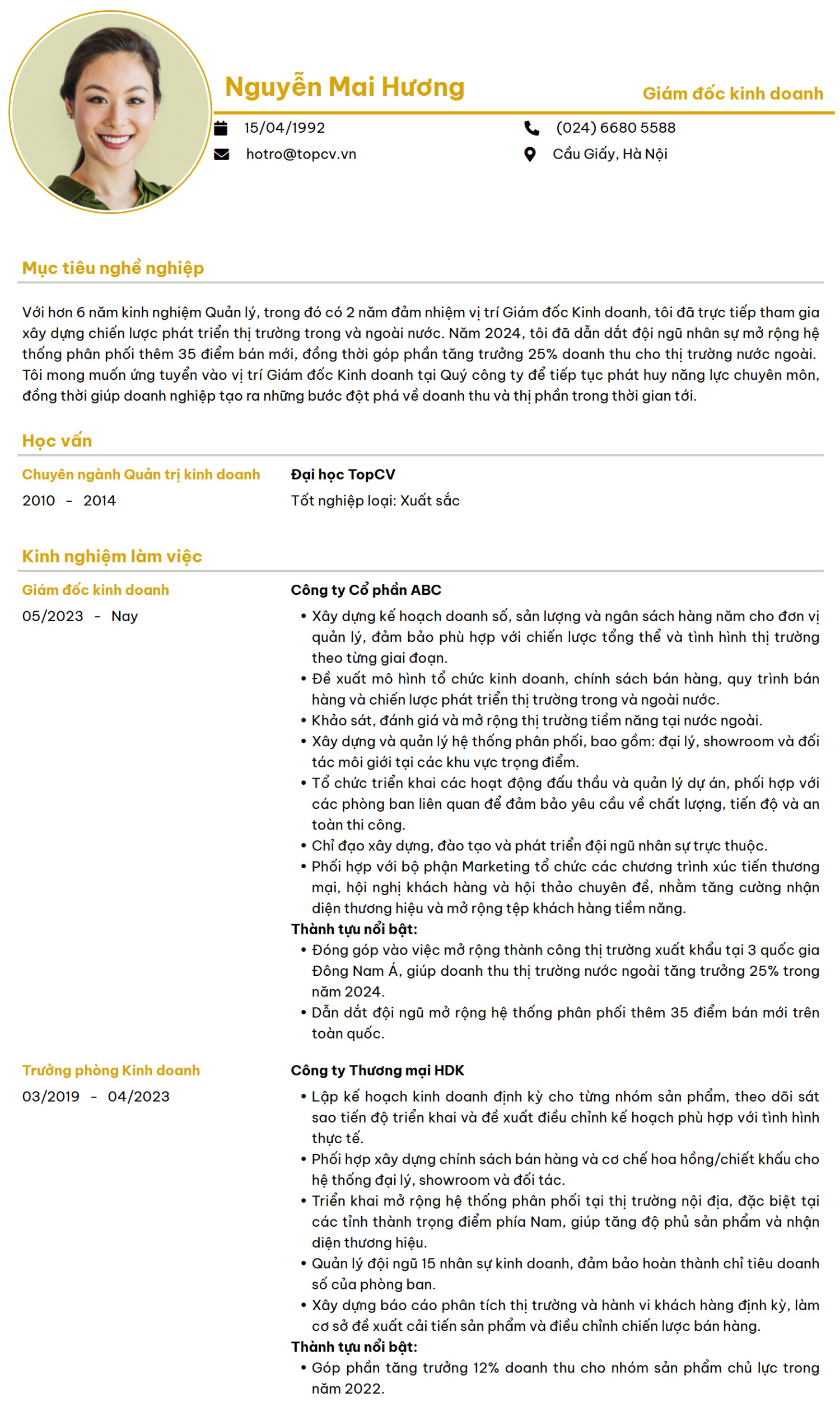 Mẫu CV Giám đốc kinh doanh thanh lịch