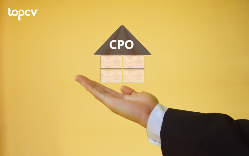 CPO là chức vụ quan trọng trong công ty công nghệ hoặc công ty sản xuất sản phẩm