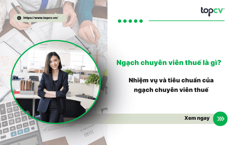 Ngạch chuyên viên thuế là gì? Nhiệm vụ và tiêu chuẩn của ngạch chuyên viên thuế