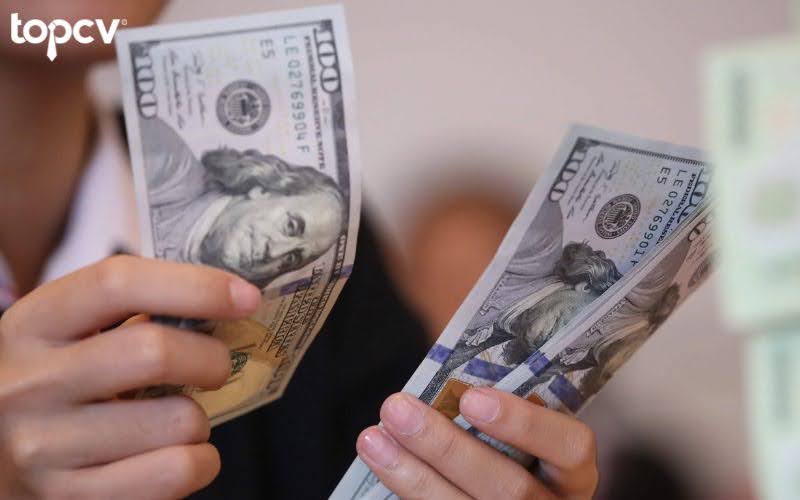 Ngân hàng trung ương có vai trò phát hành và cung cấp tiền tệ lưu thông trong nước