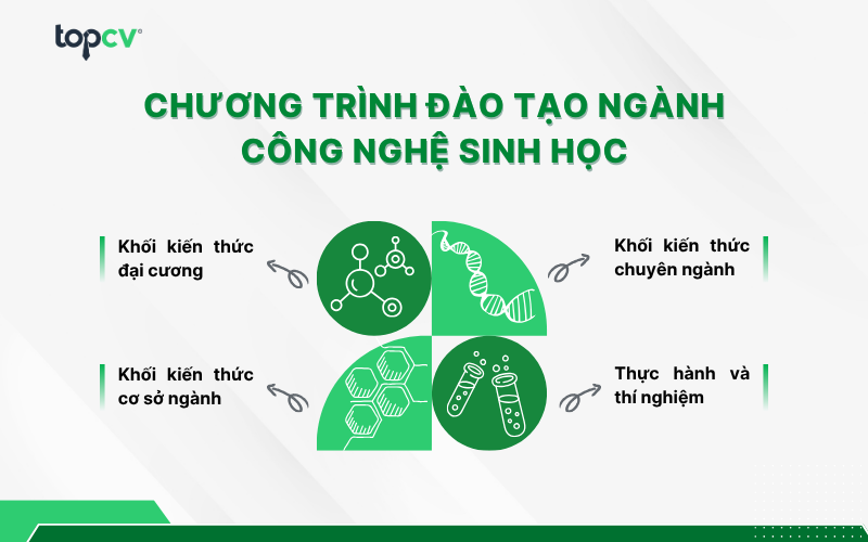 Chương trình đào tạo ngành công nghệ sinh học