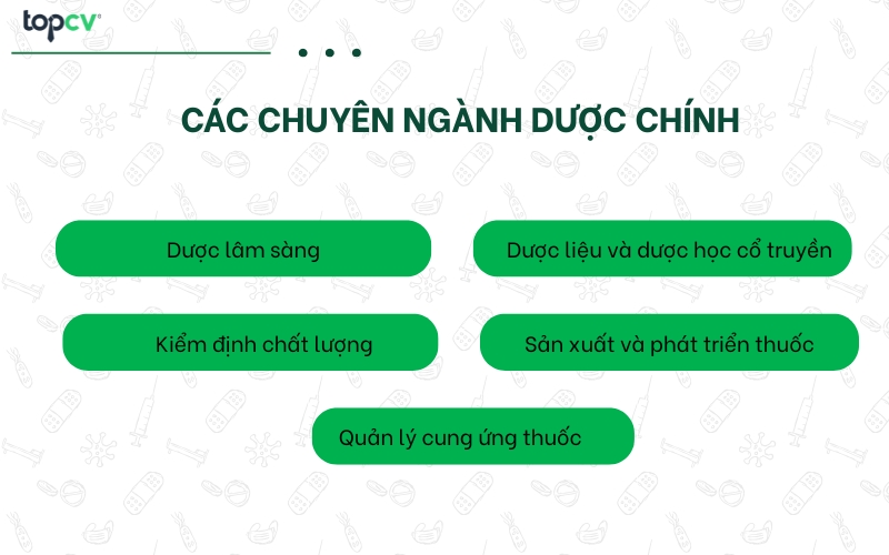 Các chuyên ngành Dược chính