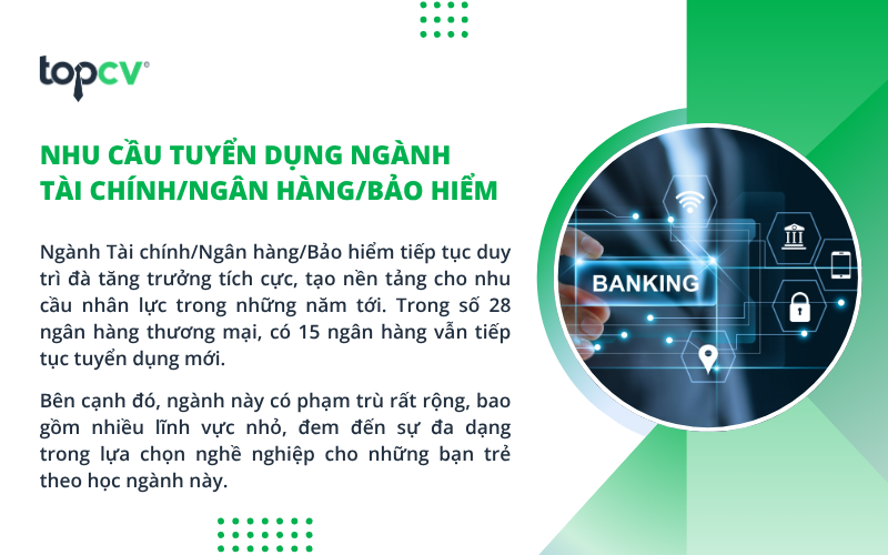 Cơ hội việc làm ngành Tài chính/Ngân hàng/Bảo hiểm