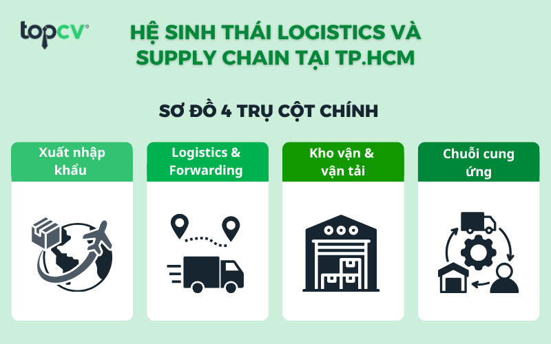 Hệ sinh thái Logistics và Supply chain tại TP.HCM