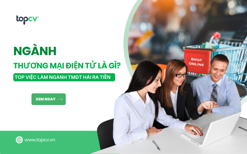 Ngành Thương mại điện tử là gì? Top việc làm ngành TMĐT hái ra tiền