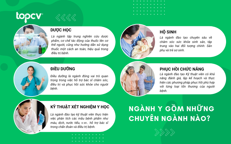 Các chuyên ngành thuộc ngành Y