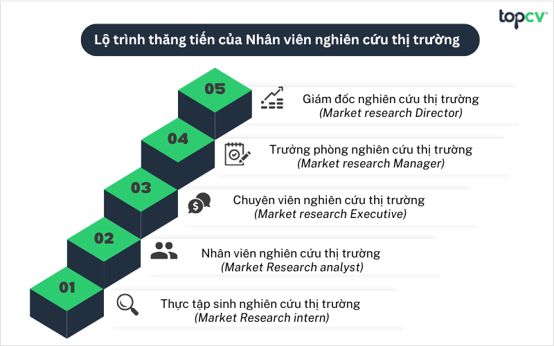 Lộ trình thăng tiến Nhân viên nghiên cứu thị trường