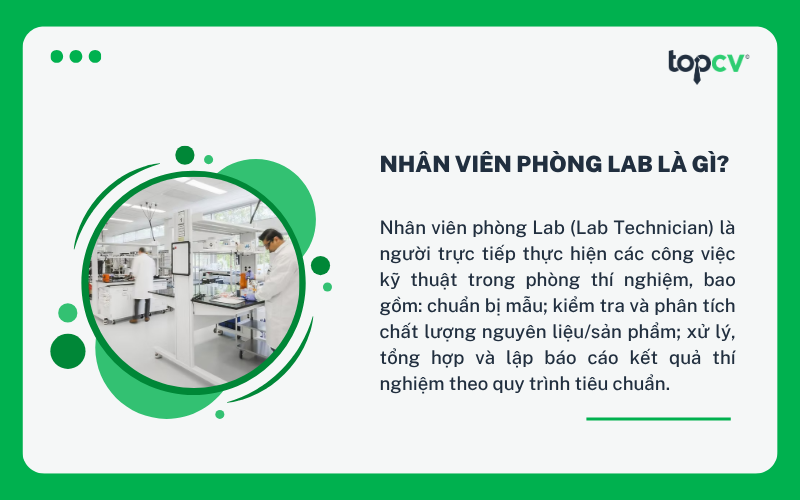 Nhân viên phòng Lab là người trực tiếp thực hiện các công việc kỹ thuật trong phòng thí nghiệm